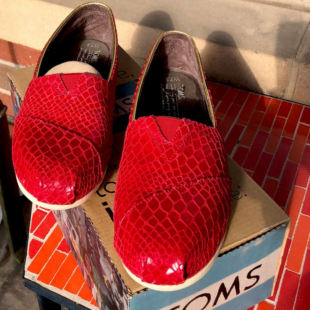 TOMS Classics Red Snake